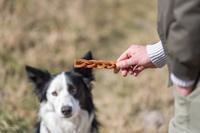 PHO_IMAGE_DOG_Asic-Snack-Leckerlie-3.jpg