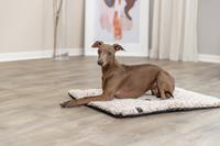 PHO_PRO_DOG_384000-384001-384002-5.jpg