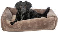 PHO_PRO_DOG_CLIP_37774-1.jpg