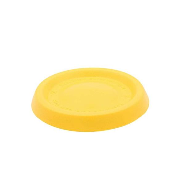 frisbee01_ml.jpg